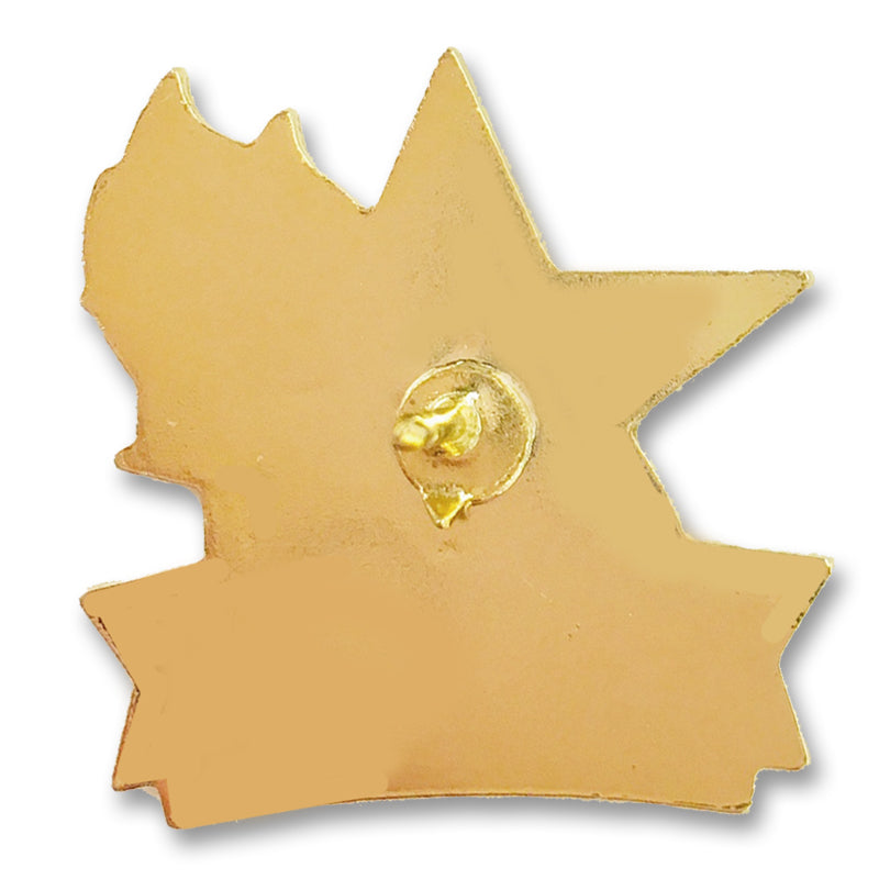 1 Inch Celebrating Excellence Star Enameled Lapel Pin-Brooches & Lapel Pins-Lapel Pin Corner