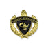 1 Inch Gold "Physical Education" with Lamp of Learning and Wreaths Enameled Lapel Pin-Brooches & Lapel Pins-Lapel Pin Corner
