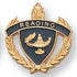 1 Inch Gold "Reading" with Lamp of Learning and Wreaths Enameled Lapel Pin-Brooches & Lapel Pins-Lapel Pin Corner