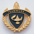 1 Inch Gold "Teamwork" with Lamp of Learning and Wreaths Enameled Lapel Pin-Brooches & Lapel Pins-Lapel Pin Corner