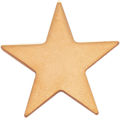 1 Inch Plain and Flat Star Lapel Pin-Brooches & Lapel Pins-Lapel Pin Corner
