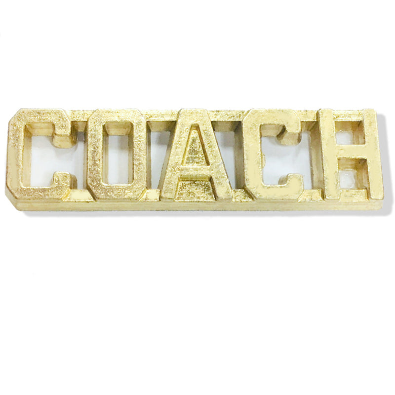 1/4 Inch Gold "Coach" Chenille Pin-Brooches & Lapel Pins-Lapel Pin Corner