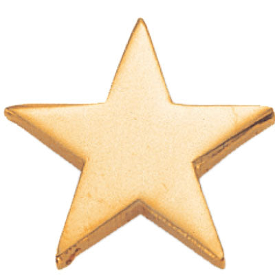 3/4 Inch Polished Star Lapel Pin-Brooches & Lapel Pins-Lapel Pin Corner