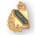 5/8 Inch Gold "Computer" with Torch and Wreath Enameled Lapel Pin-Brooches & Lapel Pins-Lapel Pin Corner