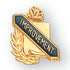 5/8 Inch Gold "Improvement" with Torch and Wreath Enameled Lapel Pin-Brooches & Lapel Pins-Lapel Pin Corner