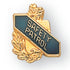 5/8 Inch Gold "Saftey Patrol" with Torch and Wreath Enameled Lapel Pin-Brooches & Lapel Pins-Lapel Pin Corner
