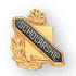 5/8 Inch Gold "Scholarship" with Torch and Wreath Enameled Lapel Pin-Brooches & Lapel Pins-Lapel Pin Corner