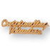 Gold "Outstanding Volunteer" Chenille Pin-Brooches & Lapel Pins-Lapel Pin Corner